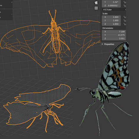 Bild eines 3D-Modells