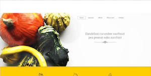 Bild einer Webdesigns